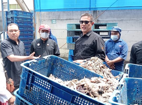 Produksi Pabrik Tepung Ikan di Indramayu Dihentikan Sementara karena Bau Tak Sedap